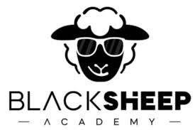 [2025] OPINIÓN BLACK SHEEP ACADEMY PRO — ESTRATEGIA DE INVERSIÓN DE TRADING Y OPINIONES